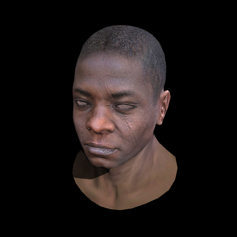 Software Renderer